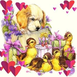 Meet your Posher, Carmen